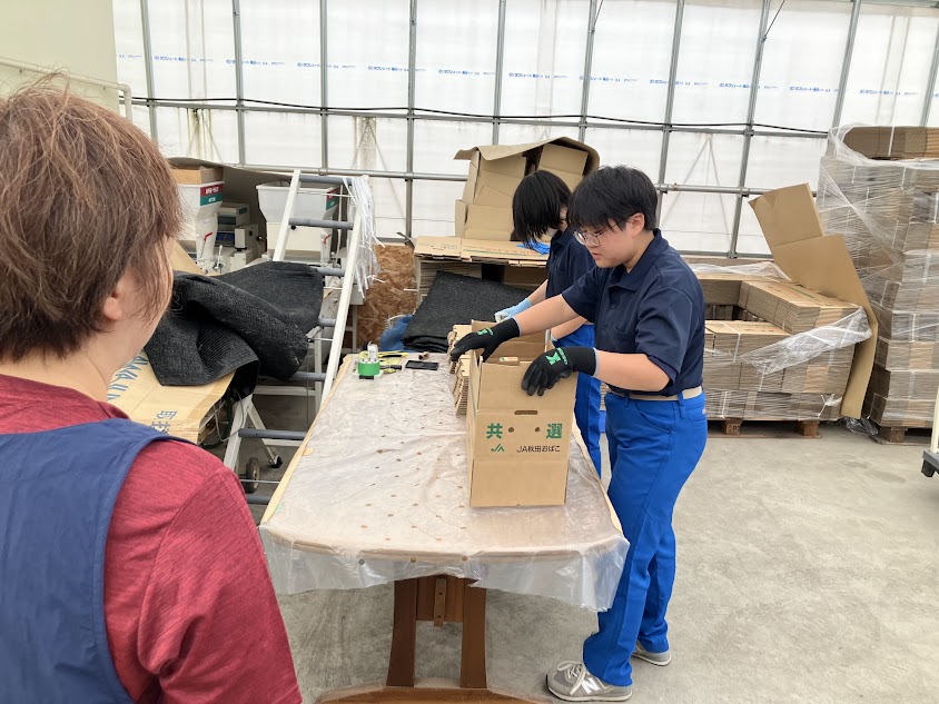 インターンシップ活動