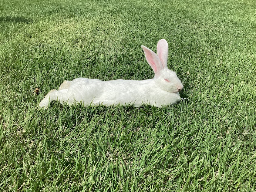 仙南すこやか園訪問with畑屋うさぎ