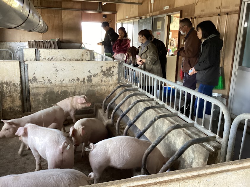 PTAの方々による大嶋農場見学