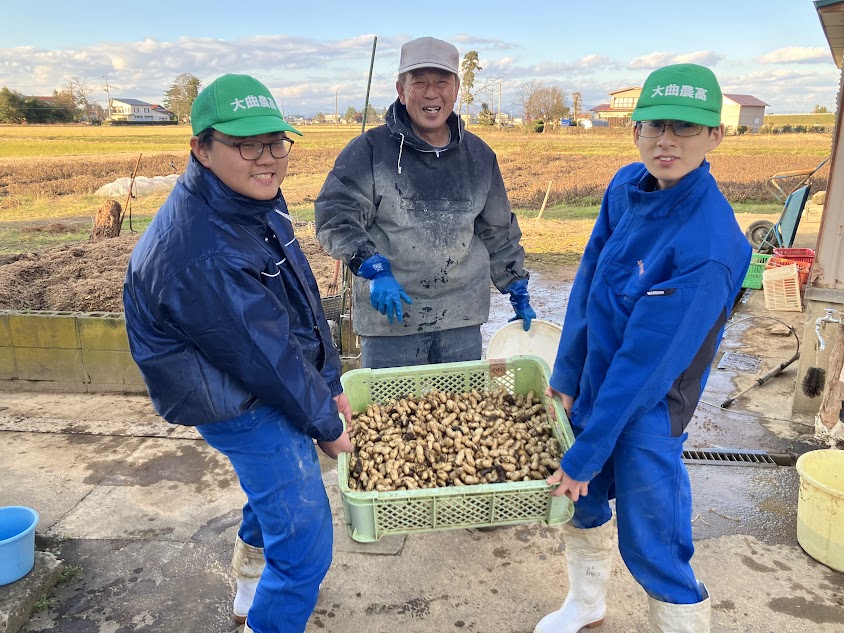 落花生　収穫お手伝い！